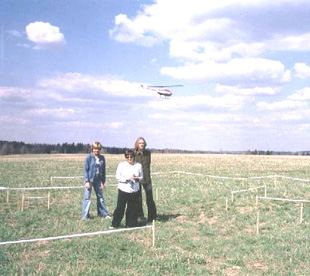 птица счастья. мой дом