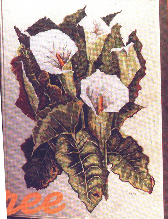 каллы. Каллы5