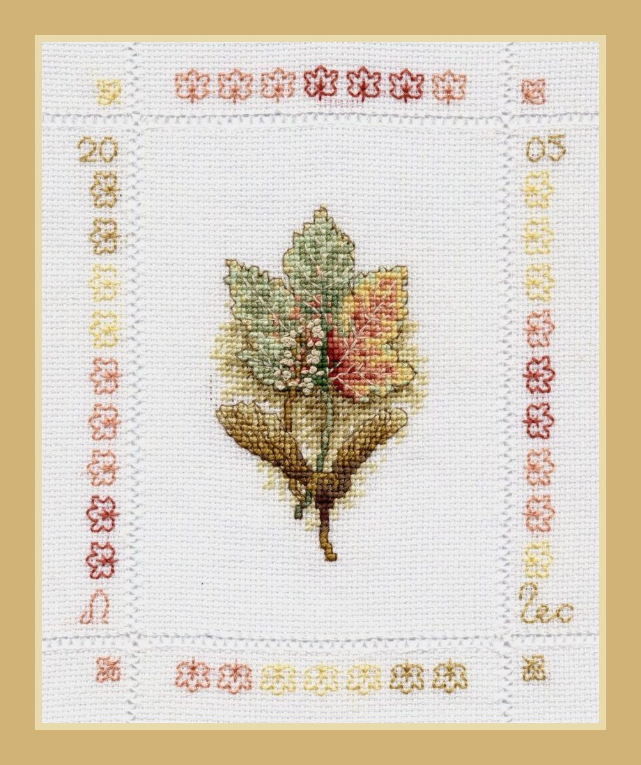 Клен. В_Растения (Flora)