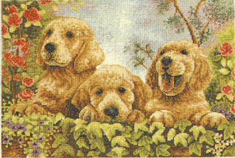 Anchor Puppies. Animals: