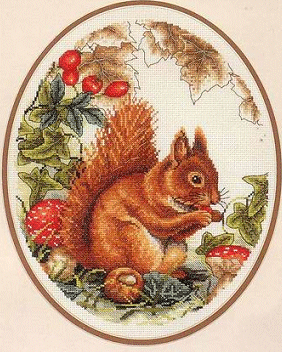 Anchor Squirrel. Animals: