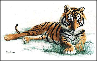 Couchman Creations Tiger. Animals: