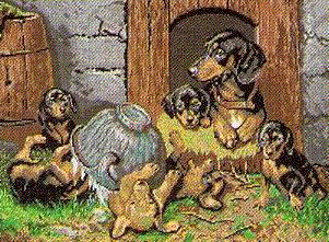Dachshund Family. Animals: