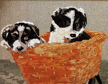 DMC Puppies. Animals: