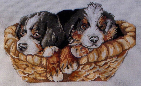 Puppy Basket. Animals: