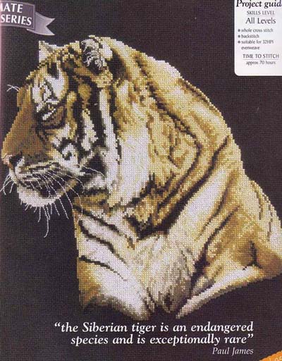 Wild Jungle Tiger. Animals: