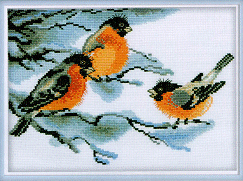 RTO Bullfinches. Birds