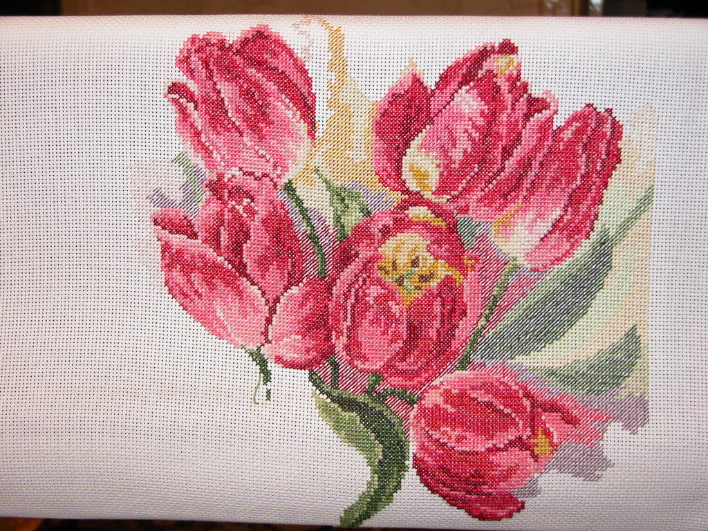 Тюльпаны. 1 месяц. Тюльпаны. (Окончено)