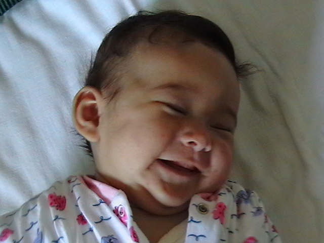 Смеемся. Новая папка