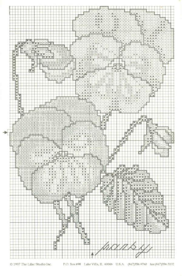 Cinnamon& Yellow Pansies.sch. Bratki