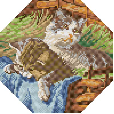 Garden Basket Cats. Cats