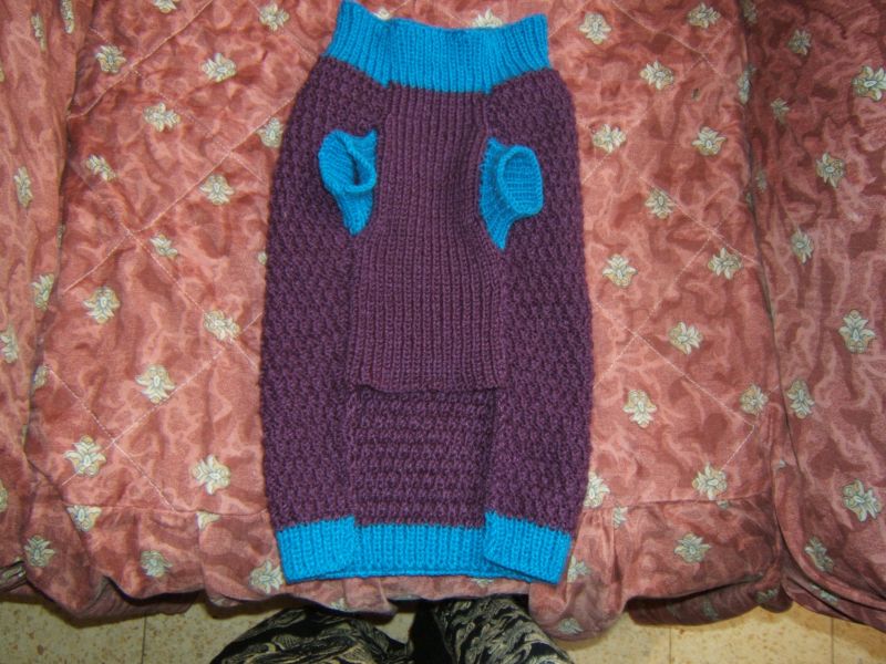 Одёжка для собак