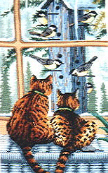 Dim. Whos Watching Whom. Cats