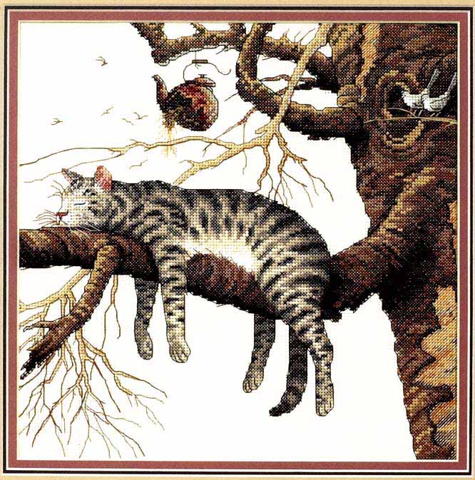 Dim. Too Pooped. Cats