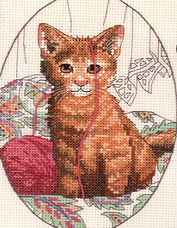 Dim. Purrfect Playthings. Cats