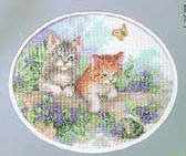 Dim. Playful Kittens. Cats