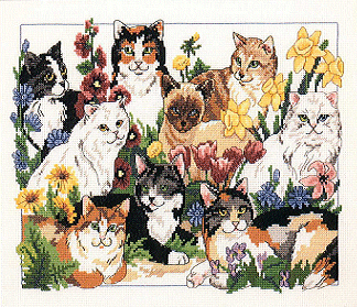 Dim. Garden Cats. Cats