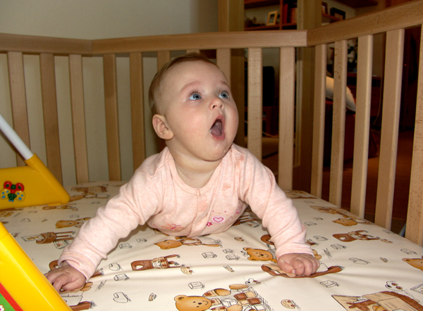 Вот он какой. 