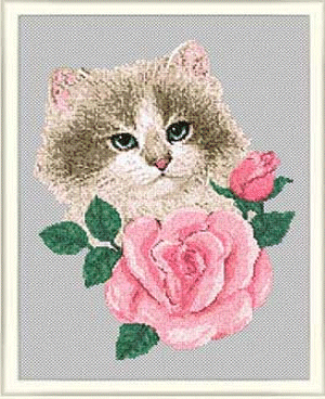 Cat & Rose. Cats