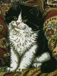 Candamar Kitty on Pillow. Cats