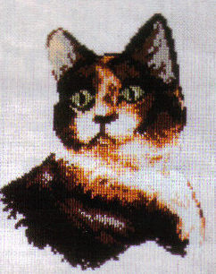 Calico Cat #2. Cats