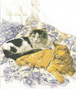 Bucilla Cats on Toile. Cats