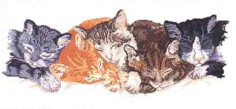 Anchor Cats Caught Napping. Cats