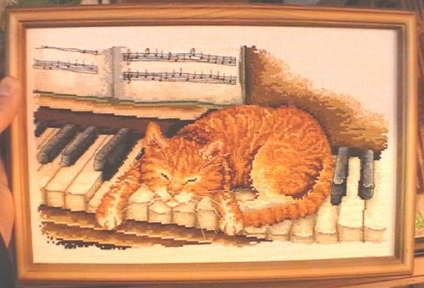 Anchor Cat on Piano. Cats