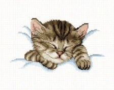 Sleeping Kitty. EMS Cats