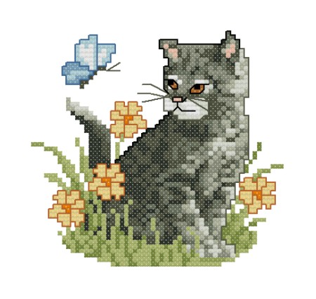 Grey Tabby Kitten. EMS Cats