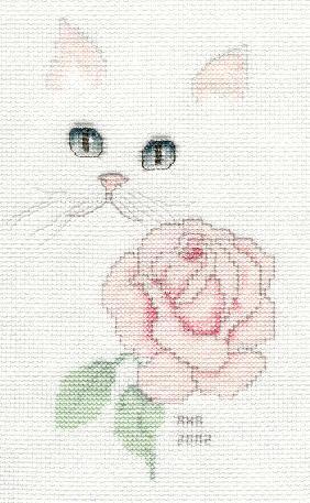 Rose Cat. Harrison Cats