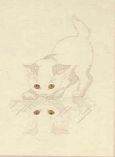 Reflection. Harrison Cats