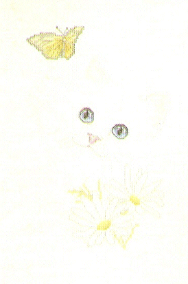 Cats & Flowers #3. Harrison Cats