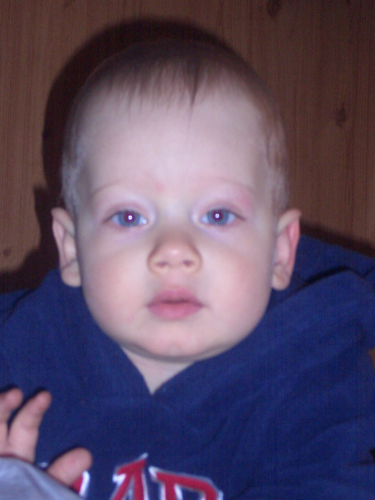 дачник. год