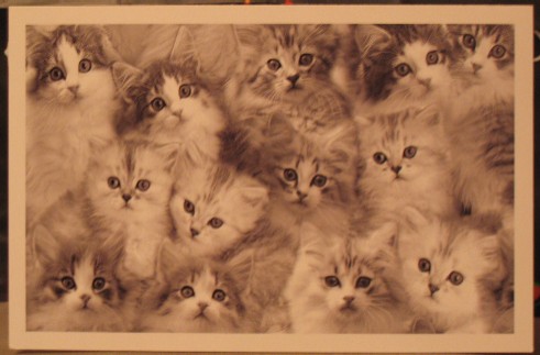 Открытка 5. Коллекция