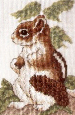 GBG Chipmunk on Alert. Animals: