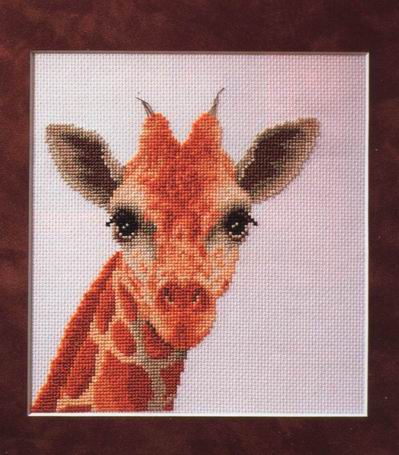 Giraffe. Animals: