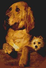 PR Best Friends. Animals: