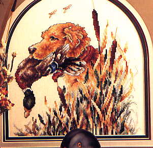 SC Loyal Retriever. Animals: