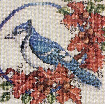 Birds & Verses II. Birds