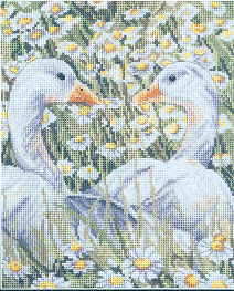 P. Pickering Daisy Chains. Birds