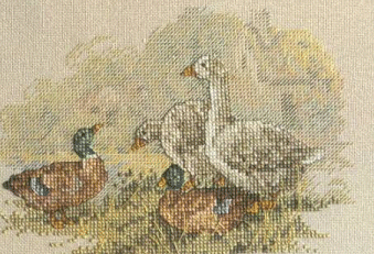 Pondside Gathering. Birds