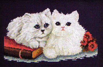 MDC Chinchilla. Cats