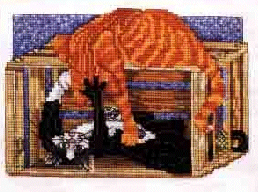 Pegasus Boxing Match. Cats