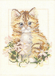 Weekenders Ginger. Cats