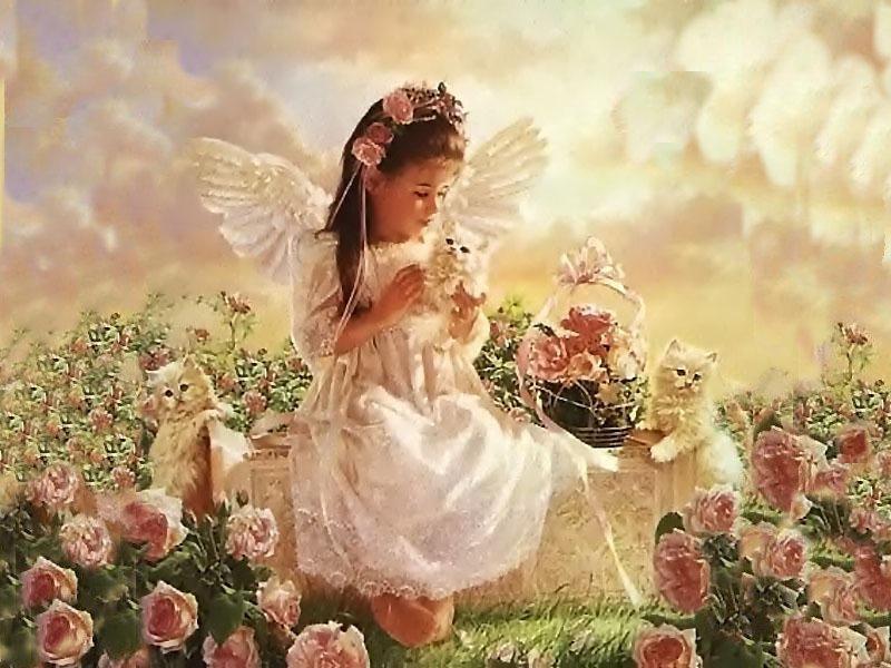 feja s kotjatami. Dimensions