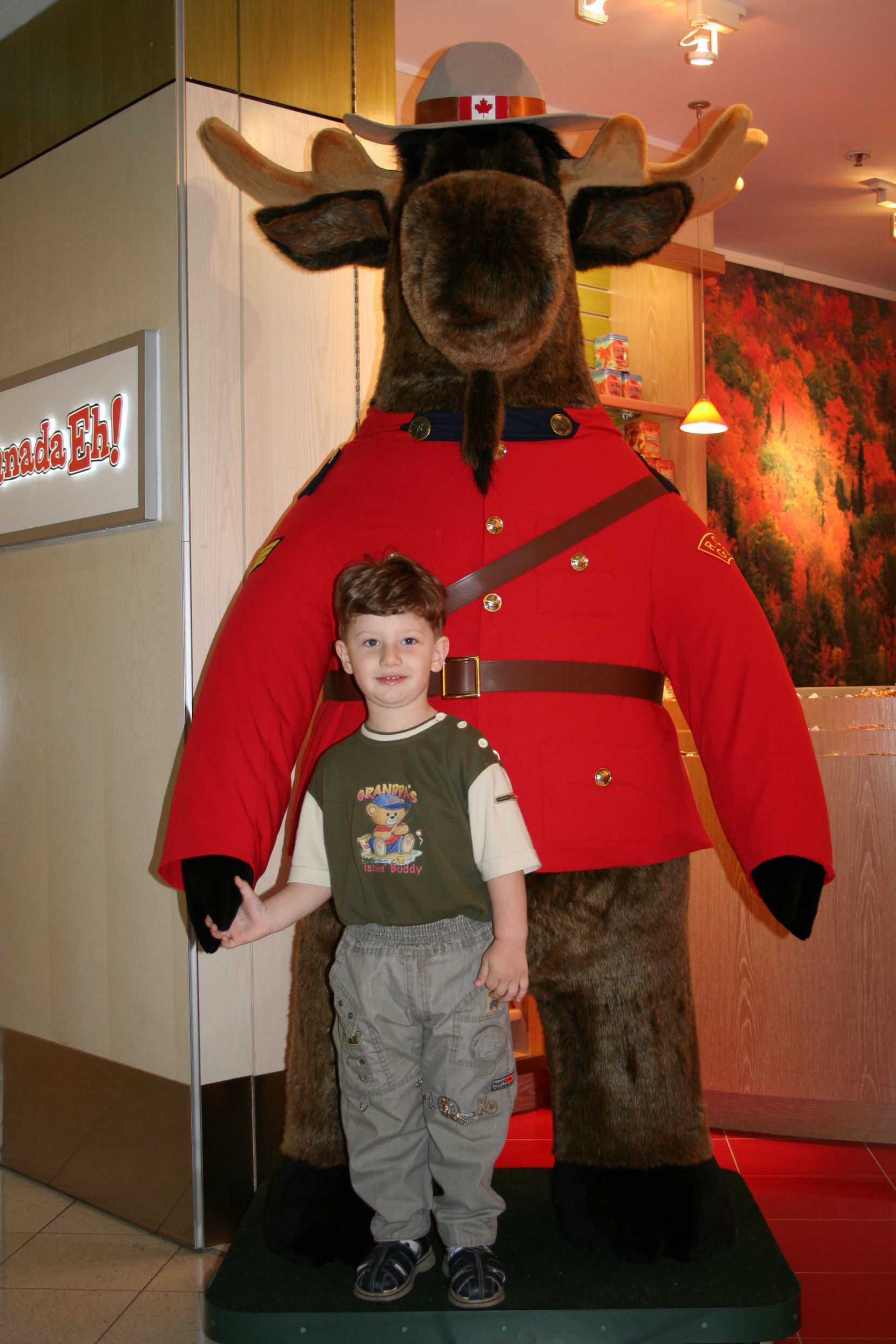 Аэропорт, Торонто. Aruba