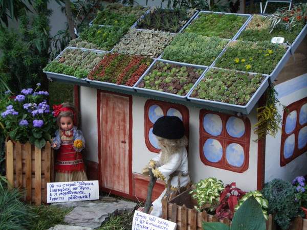 выставка цветов