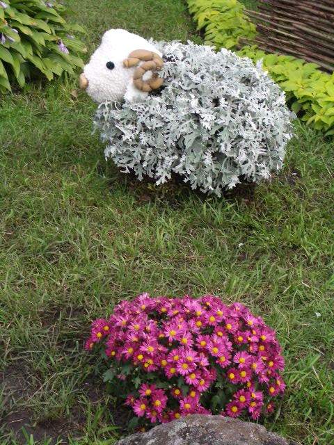 выставка цветов