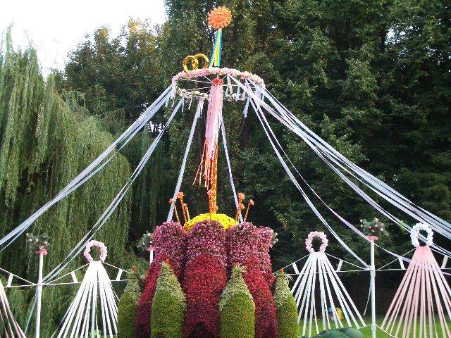 выставка цветов